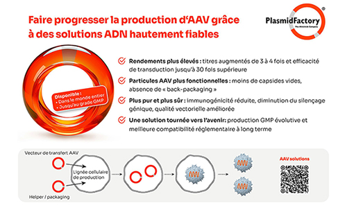 Nouveauté produit laboratoire : Optimiser la production d’AAV grâce à des solutions ADN de haute intégrité